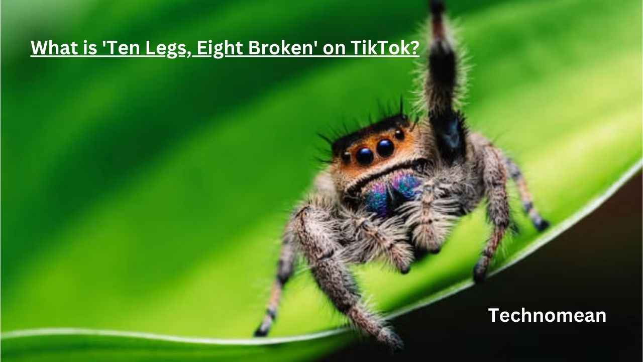 What-is-Ten-Legs-Eight-Broken-on-TikTok