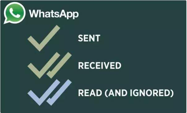 what does two checks mean on whatsapp