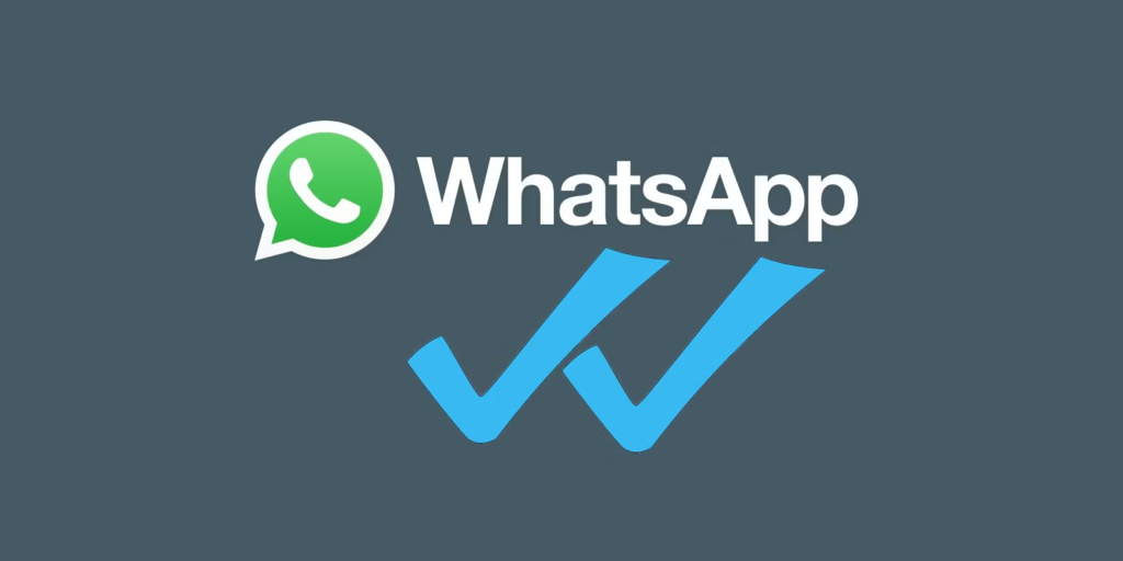 what does two checks mean on whatsapp